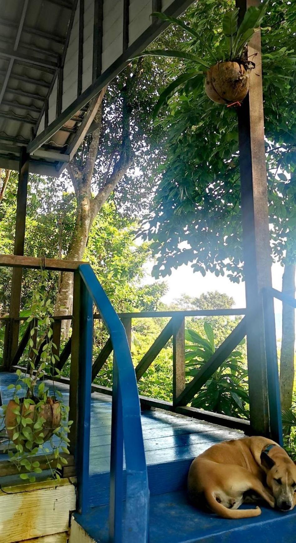 Rasta View Bangalows Koh Chang Luaran gambar